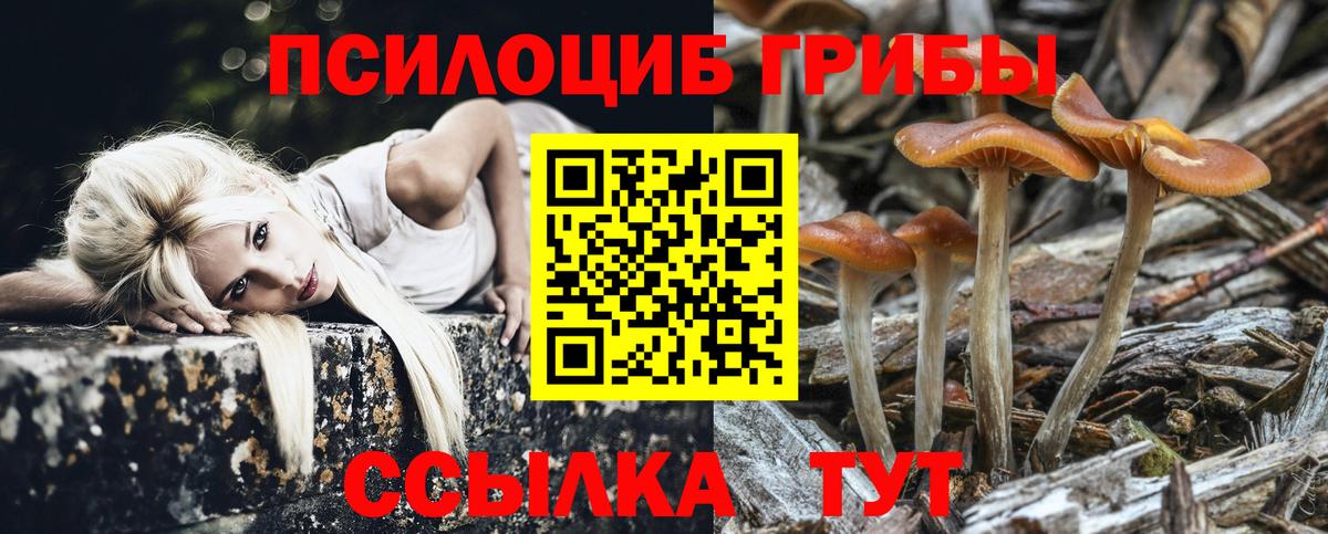 Аксай  Псилоцибиновые грибы ЛСД  Вход с VPN  Галлюциногенные грибы Psilocybe 